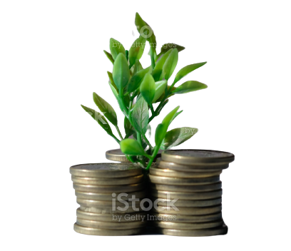 money-plant